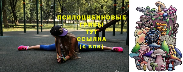 дмт Нефтекумск