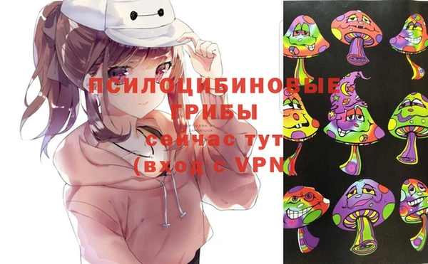 кокс Нея