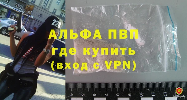 шишки Ростов