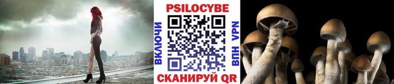 Псилоцибиновые грибы ЛСД  Райчихинск 